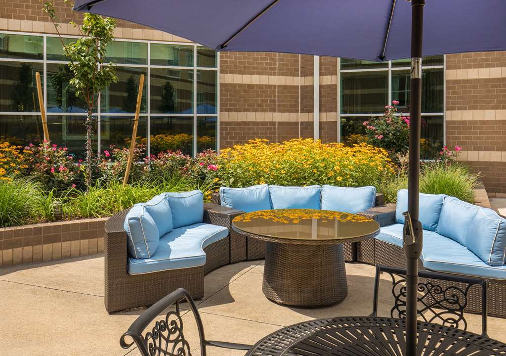 Sheraton Boston Needham Hotel Удобства фото